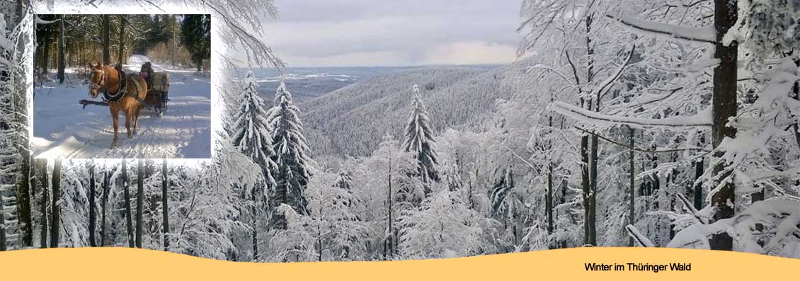 Winter im Thüringer Wald