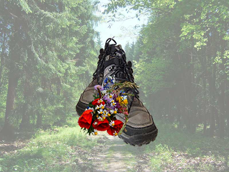 Biker & Wanderfreunde