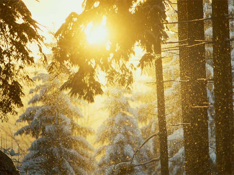 Herbst & Winter